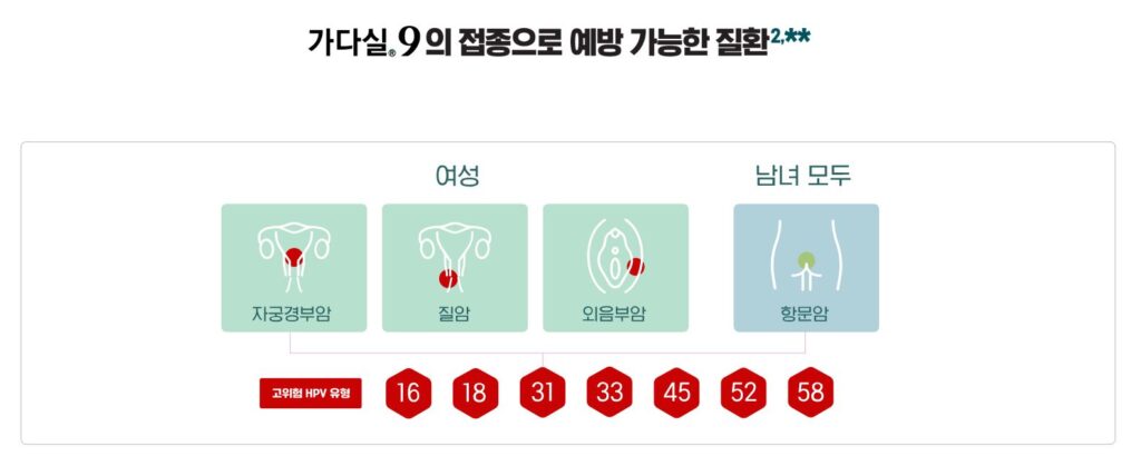 가다실 9가의 접종으로 예방 가능한 질환